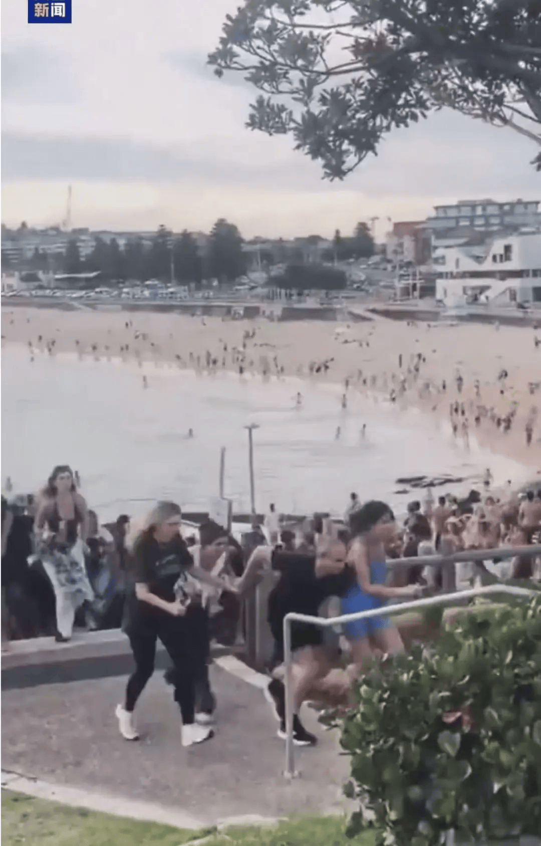 澳大利亚海滩枪击事件两名枪手为父子关系<strong></p>
<p>炒数字货币</strong>,父亲50岁,儿子24岁!一名路人冒险夺枪反击,身中两弹,需接受手术