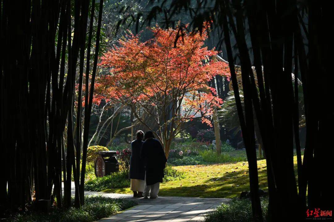 我国已进入拉尼娜状态<strong></p>
<p>数字货币趋势</strong>！四川今冬或“前暖后冷”