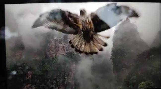 土耳其老鹰空中抓走无人机<strong></p>
<p>数字货币矿机</strong>，带上山顶“玩自拍”