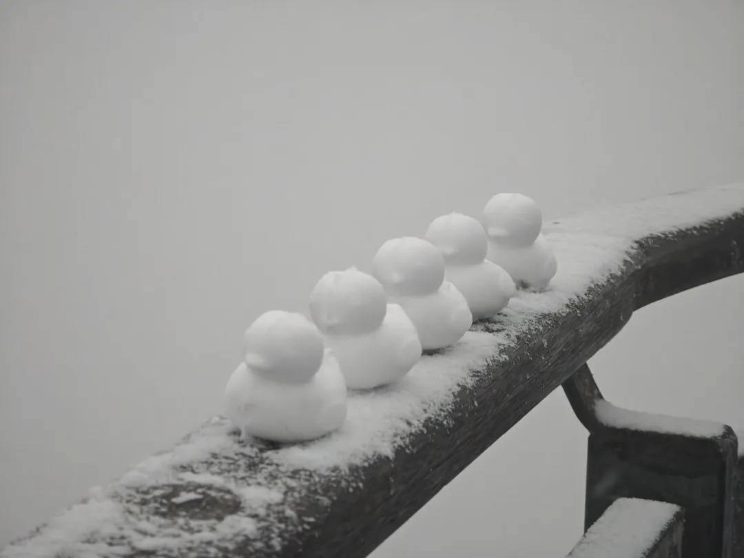 直降10℃<strong></p>
<p>币安数字货币</strong>！南京又要下雪了