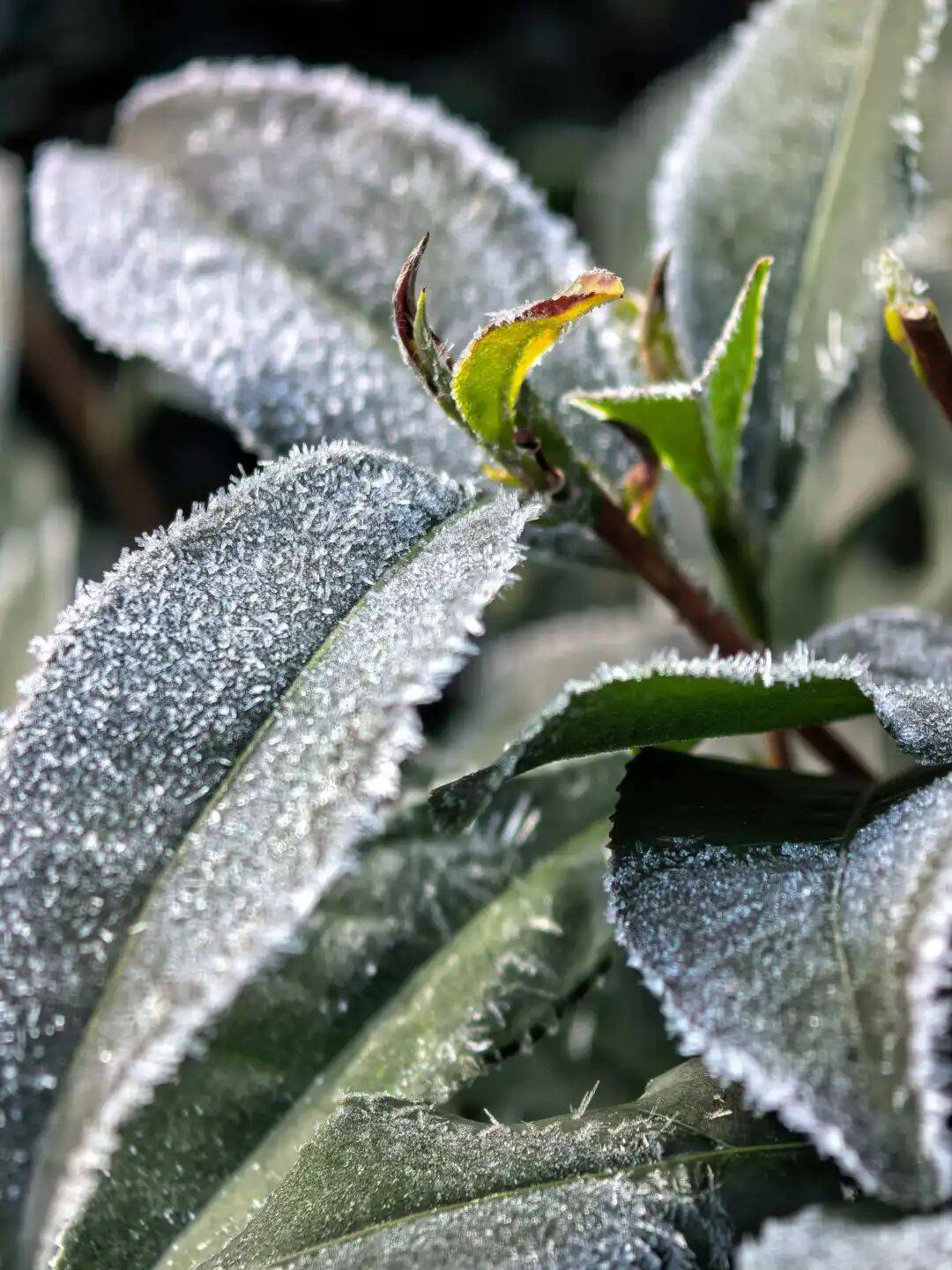 今起<strong></p>
<p>币安数字货币</strong>，持续一周！直冲20℃！杭州人做好准备，还有个大反转……