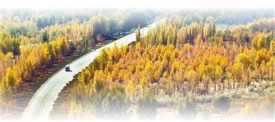 坚持“双碳”引领<strong></p>
<p>币安数字货币</strong>,推动全面绿色转型(稳中求进、提质增效 实现“十五五”良好开局)